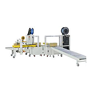 Máy dán thùng carton